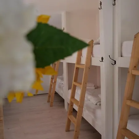 Vandrerhjem Tiny Private