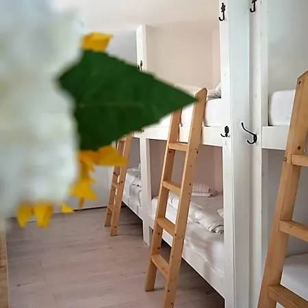 Hostal Tiny Private Haarlem