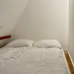 بيت شباب Tiny Private هارلم